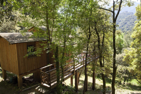 Cabane dans les arbres Chisà