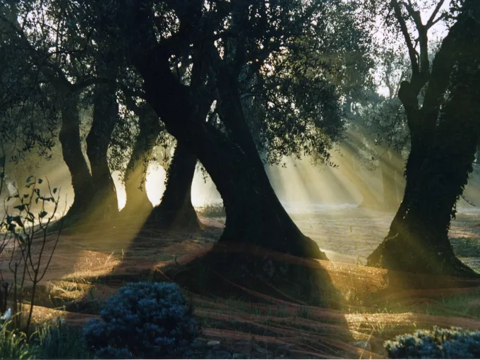 LE DOMAINE DE PEYREBELLE