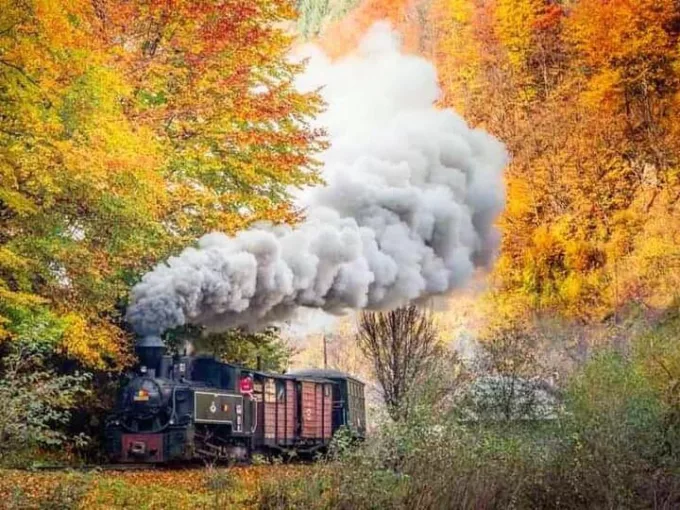 Mocăniţa Steam Train